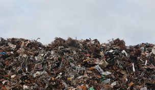 Waste Management – Planbare und wenig zyklische Cashflows